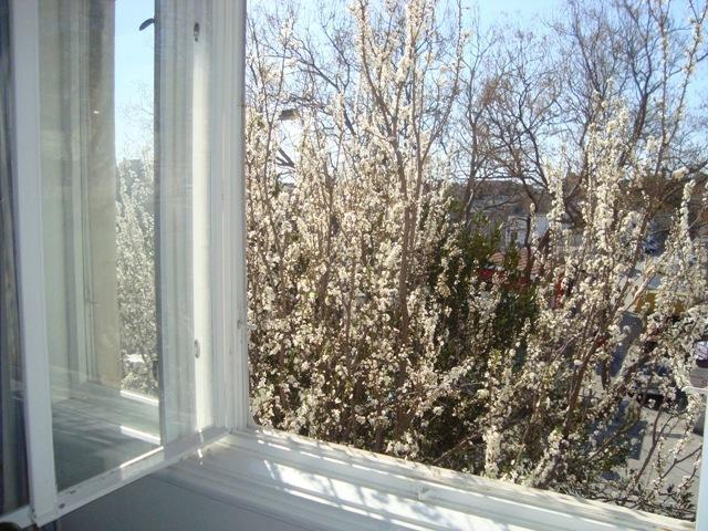 Riki Accommodation Сплит Стая снимка